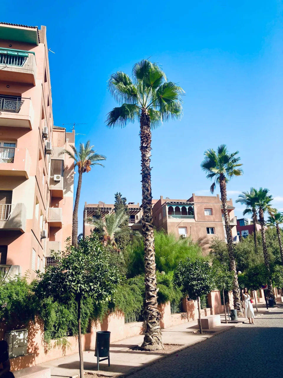 La Palmeraie, à 10 km de Marrakech